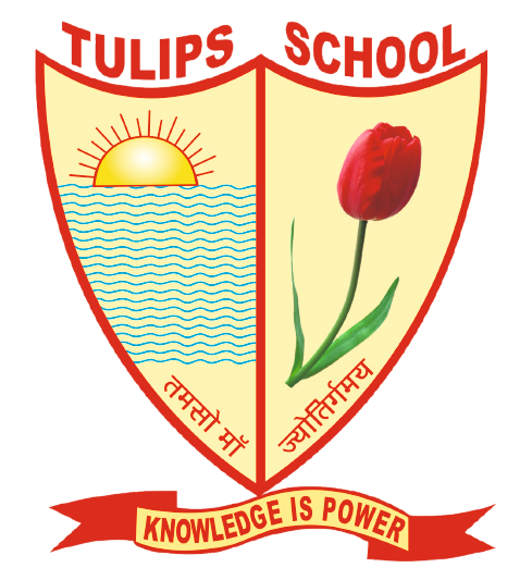 DDSPS Logo